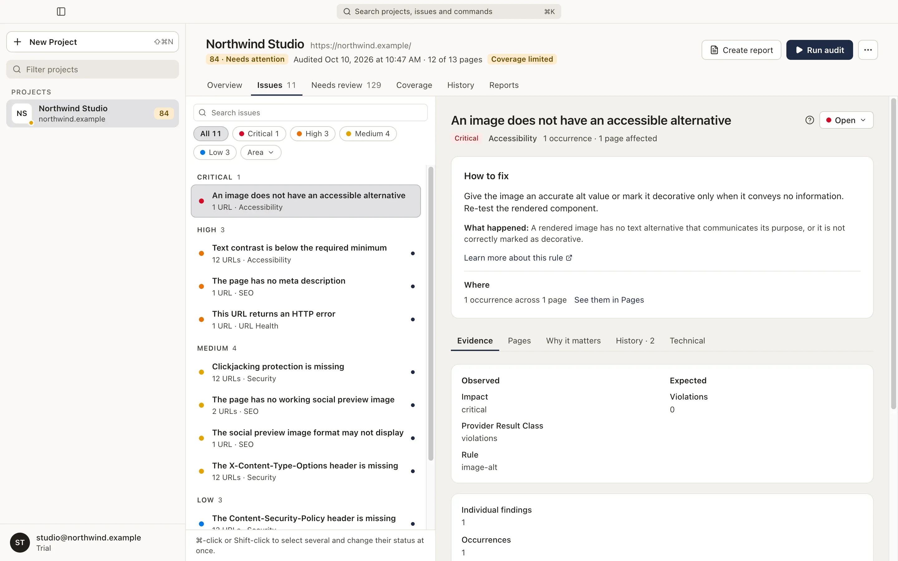 The Issues tab: the list by severity on the left and the selected issue on the right.