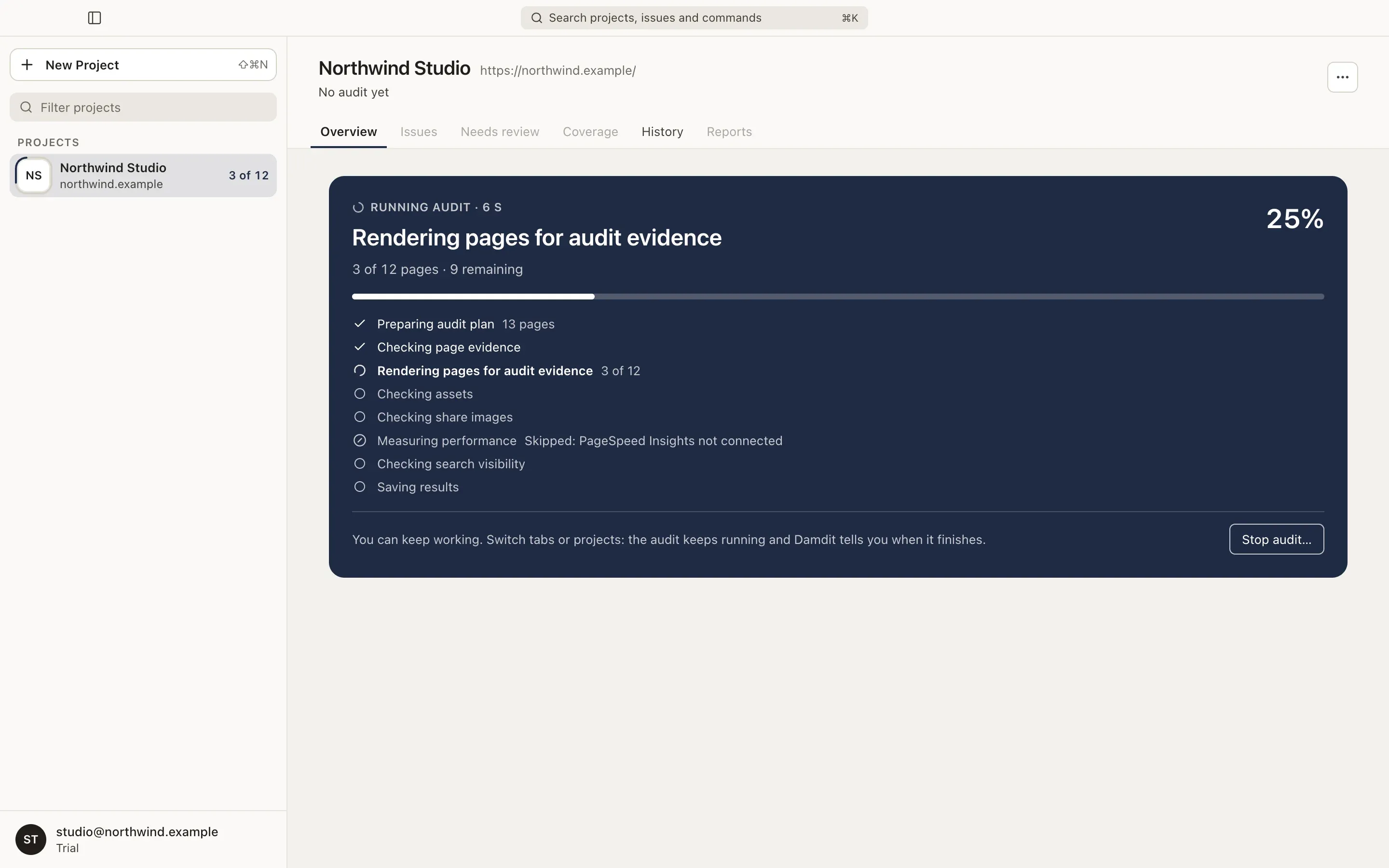 A running audit with its steps and progress.